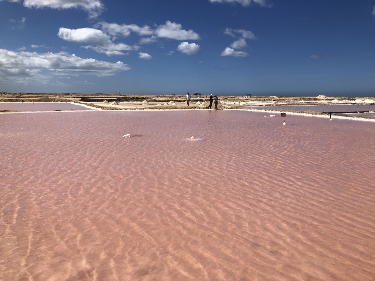 Salt pans